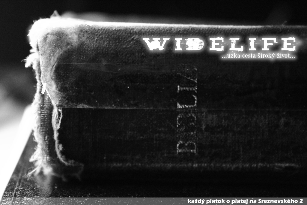 pozadieWLbiblia.jpg