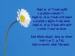 2cf13ded6e_25078338_u.jpg